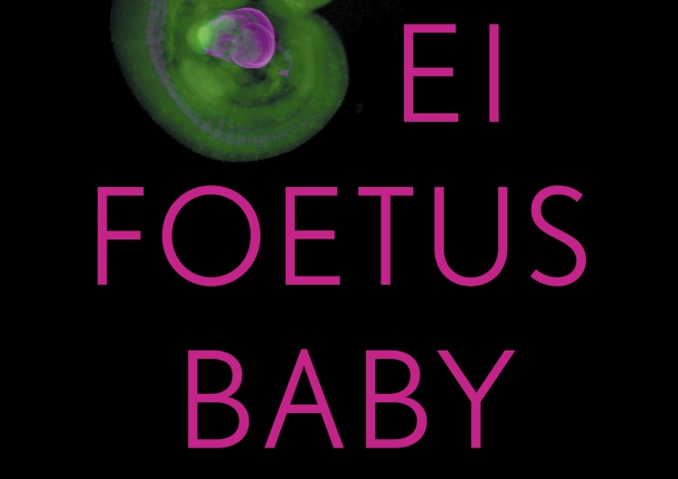 Lezing | Ei, foetus, baby: Wat classificaties doen